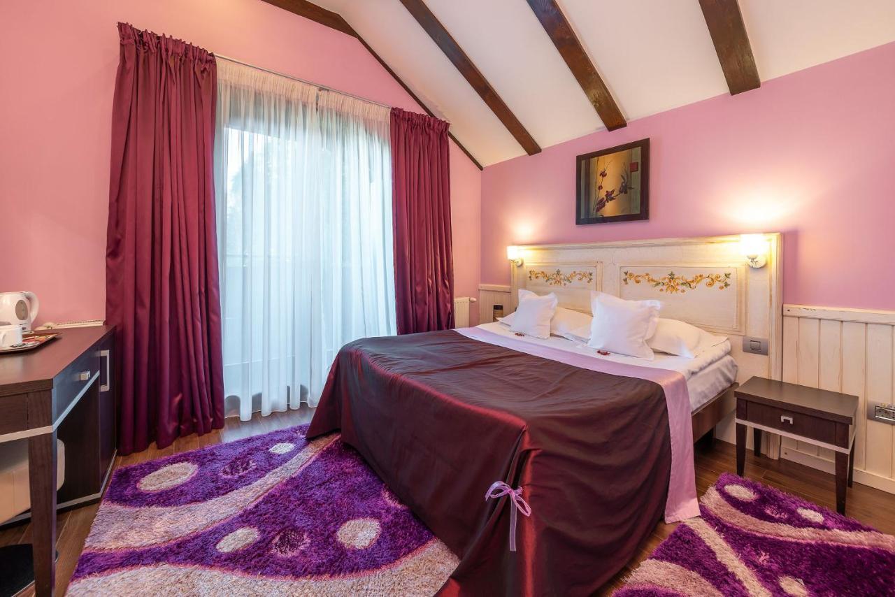 Casa Freya Ξενοδοχείο Buşteni Εξωτερικό φωτογραφία