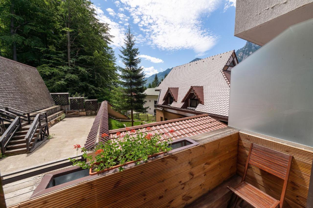 Casa Freya Ξενοδοχείο Buşteni Εξωτερικό φωτογραφία
