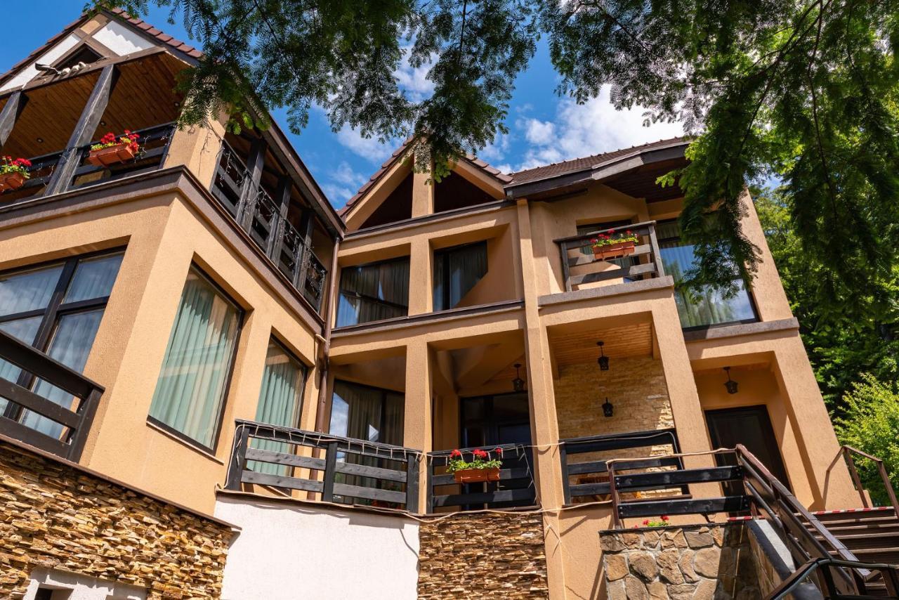 Casa Freya Ξενοδοχείο Buşteni Εξωτερικό φωτογραφία