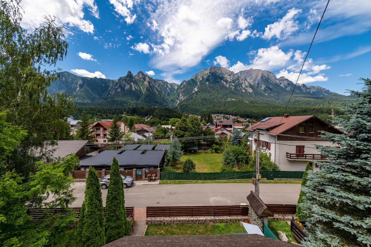 Casa Freya Ξενοδοχείο Buşteni Εξωτερικό φωτογραφία